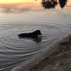 Meet your Posher, Jack